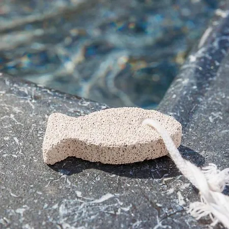 Ernest, 100 M Martin De Re, Quartier Recherche De La Cible, Calme Absolu, Piscine Chauffee * Saint-Martin-de-Ré